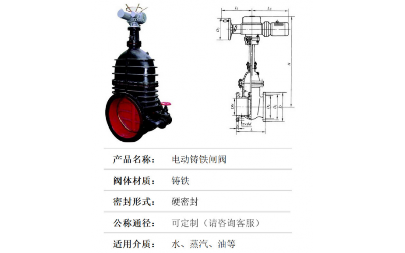 YC-LW2开云电子注册-（中国）官方网站音叉料位开关